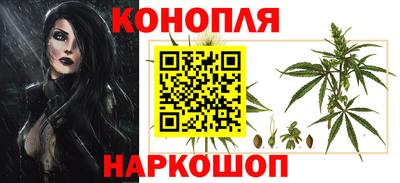 дмт Аша